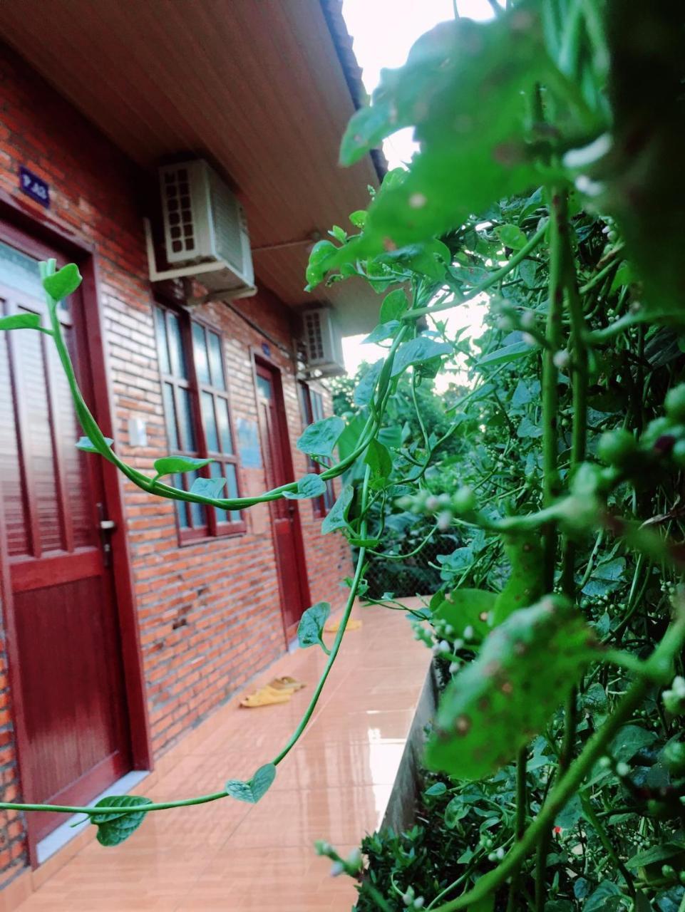 Nam Cat Tien Homestay Zewnętrze zdjęcie